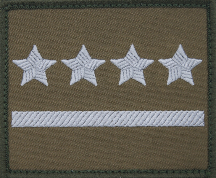 Dystynkcja na kurtkę wyjściową Wojsk Lądowych - kapitan