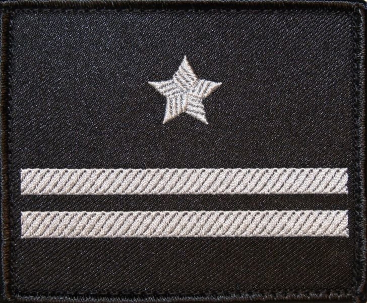 Dystynkcja na kurtkę wyjściową Sił Powietrznych - major