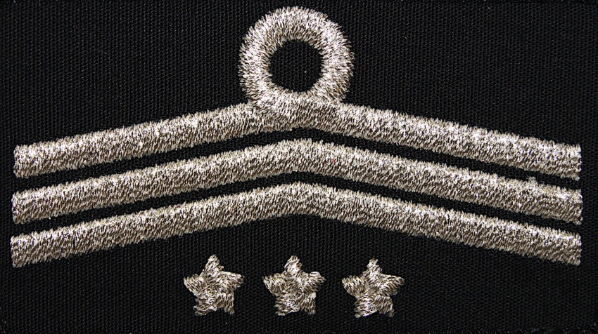 Dystynkcja do ubrania koszarowego OSP, Oddział Powiatowy - wiceprezes zarządu, komendant