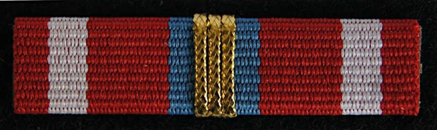 Baretka - Złota Odznaka "Zasłużony dla Krajowej Administracji Skarbowej"