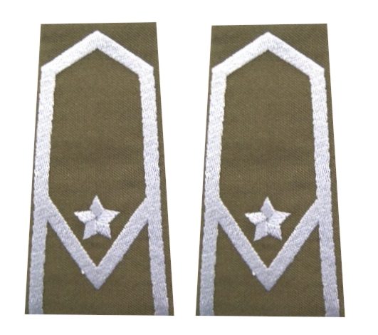 Pagony (pochewki) wyjściowe Wojsk Lądowych - młodszy chorąży