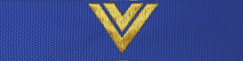 Otok do czapki garnizonowej PSP - starszy ogniomistrz