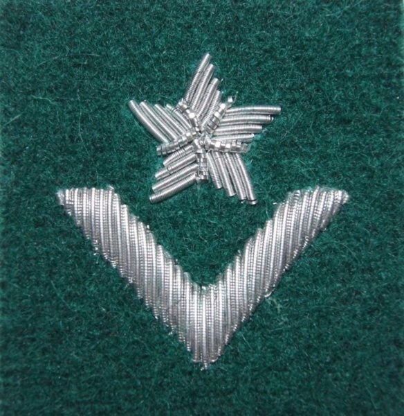 Stopień Wojska Polskiego haftowany bajorkiem do beretu zielonego - młodszy chorąży