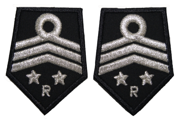 Patki OSP, oddział powiatowy - wiceprzewodniczący komisji rewizyjnej