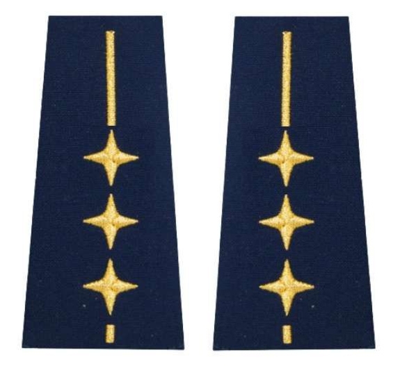 Pagony (pochewki) Straży Miejskiej - starszy inspektor