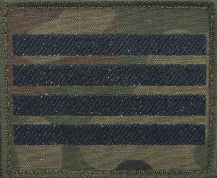 Dystynkcja na kurtkę polową Wojska Polskiego - plutonowy