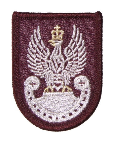 Orzełek Wojsk Powietrznodesantowych i jednostek Kawalerii Powietrznej