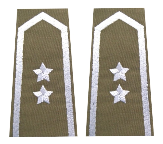 Pagony (pochewki) wyjściowe Wojsk Lądowych - starszy chorąży