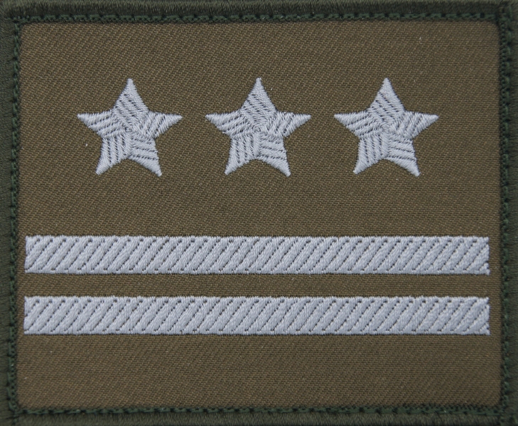 Dystynkcja na kurtkę wyjściową Wojsk Lądowych - pułkownik