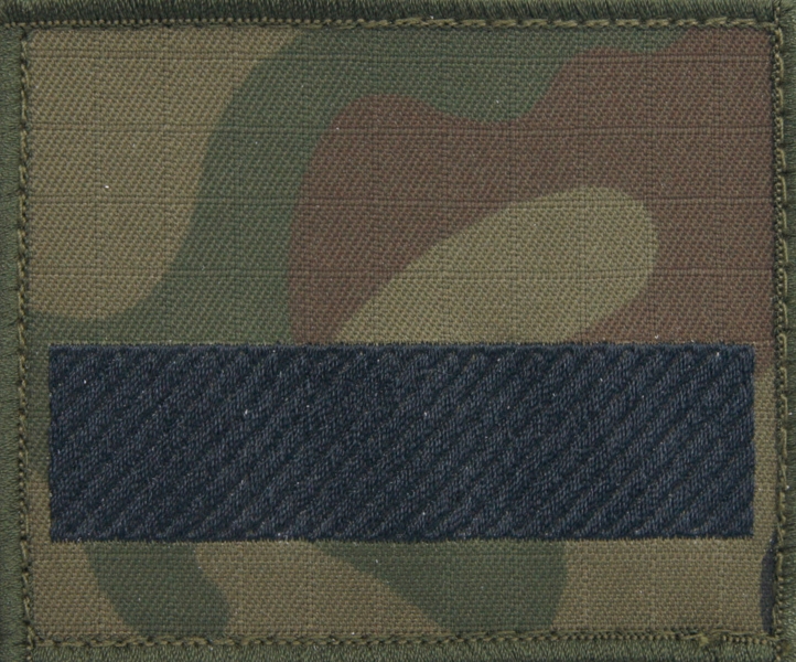 Dystynkcja na kurtkę polową Wojska Polskiego - starszy szeregowy specjalista