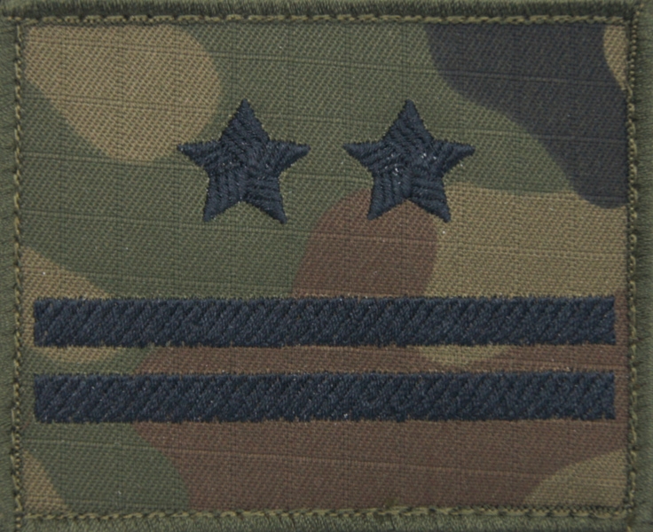 Dystynkcja na kurtkę polową Wojska Polskiego - podpułkownik