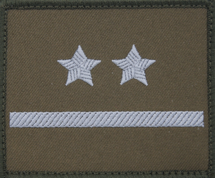 Dystynkcja na kurtkę wyjściową Wojsk Lądowych - podporucznik