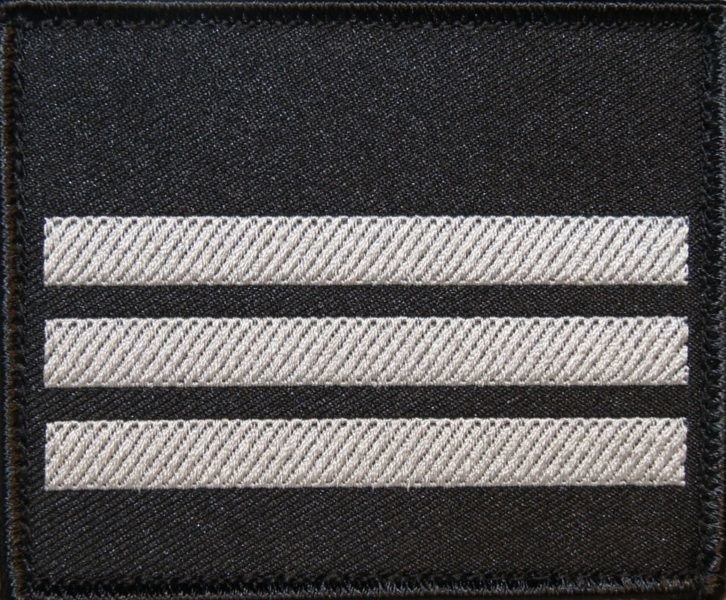 Dystynkcja na kurtkę wyjściową Sił Powietrznych - starszy kapral