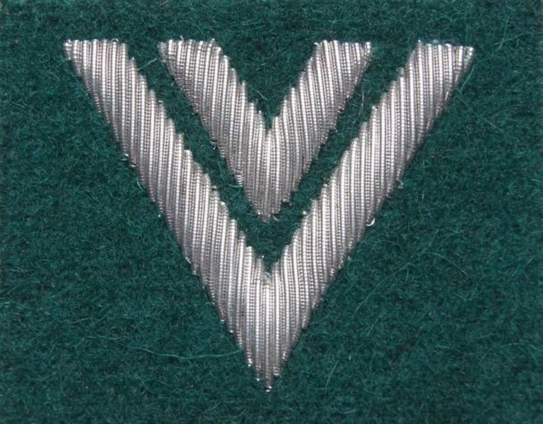 Stopień Wojska Polskiego haftowany bajorkiem do beretu zielonego - starszy sierżant