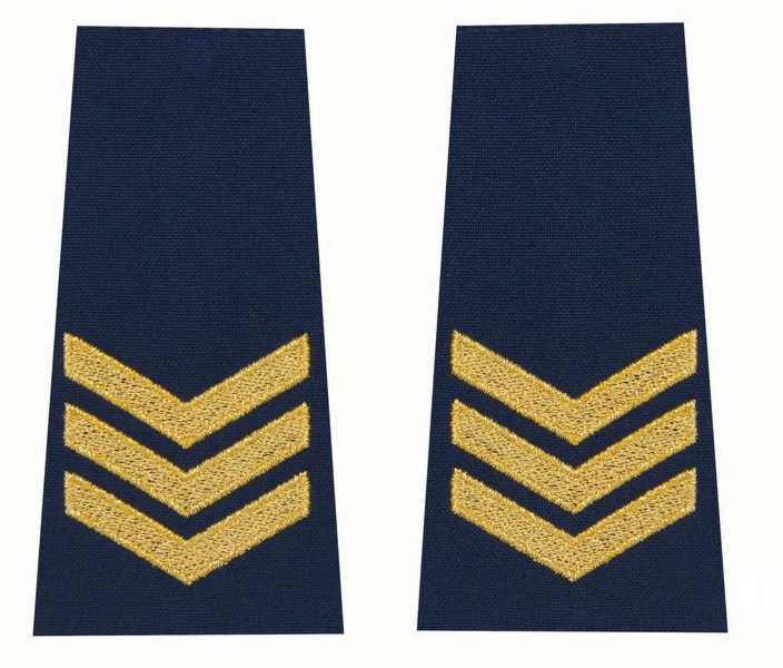 Pagony (pochewki) Straży Miejskiej - starszy specjalista