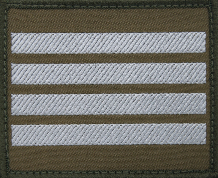 Dystynkcja na kurtkę wyjściową Wojsk Lądowych - plutonowy