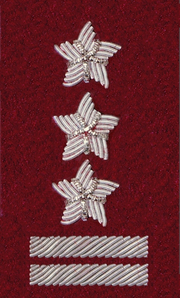 Stopień Wojska Polskiego haftowany bajorkiem do beretu bordowego (tłoczonego) - pułkownik