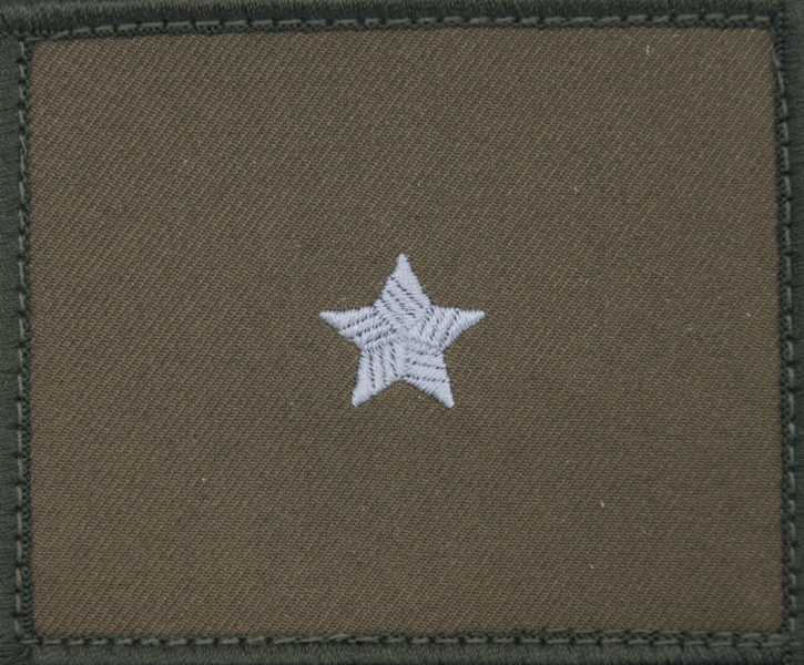 Dystynkcja na kurtkę wyjściową Wojsk Lądowych - chorąży