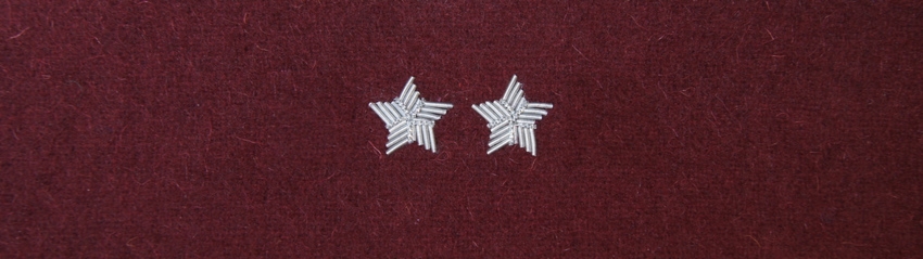 Otok wiśniowy do rogatywki Wojska Polskiego - starszy chorąży, podporucznik, podpułkownik