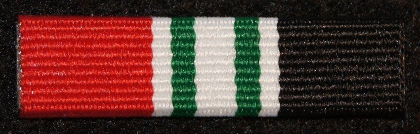 Baretka - Medal Pamiątkowy PKW Irak NMI (misja INHERENET RESOLVE IRAK)