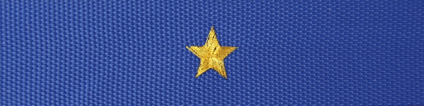 Otok do czapki garnizonowej PSP - aspirant, młodszy brygadier