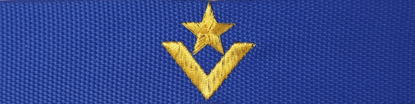 Otok do czapki garnizonowej PSP - młodszy aspirant