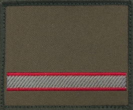 Dystynkcja na kurtkę wyjściową Wojsk Lądowych - starszy szeregowy specjalista