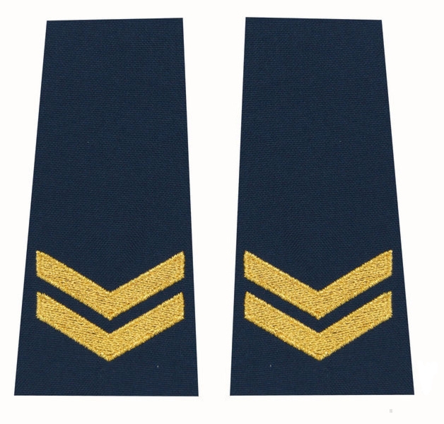 Pagony (pochewki) Straży Miejskiej - specjalista