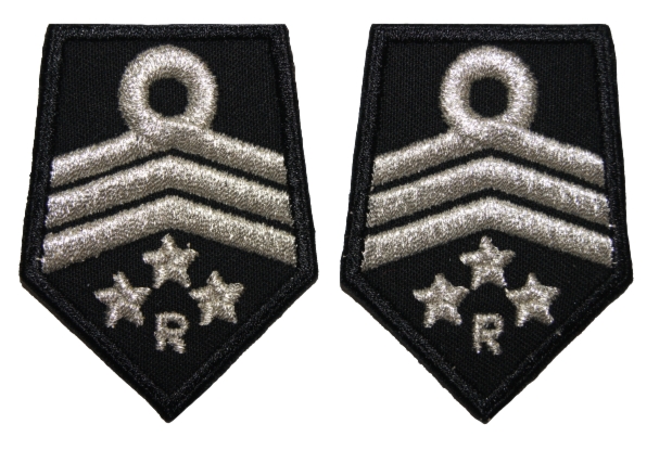 Patki OSP, oddział powiatowy - przewodniczący komisji rewizyjnej