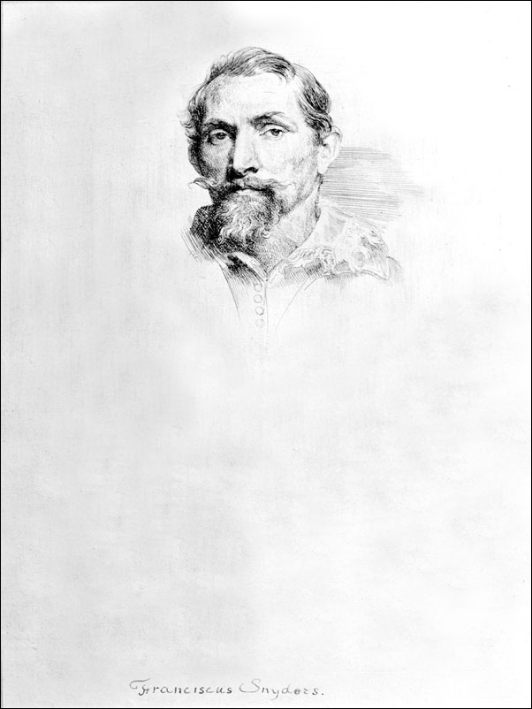 Image of Frans Snyders, from The Iconography, Anthony van Dyck - plakat Wymiar do wyboru: 30x40 cm