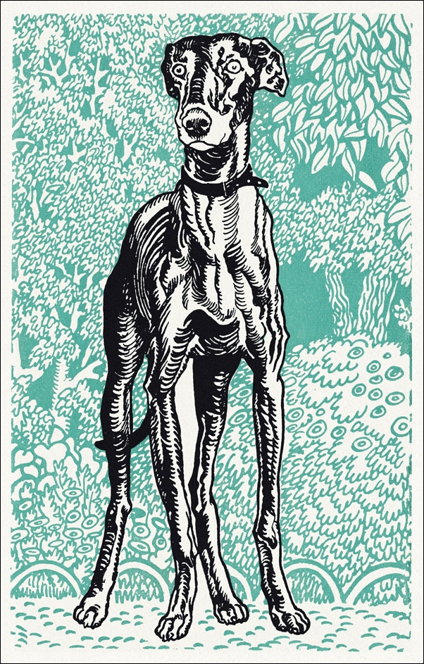 Image of Greyhound, Moriz Jung - plakat Wymiar do wyboru: 20x30 cm