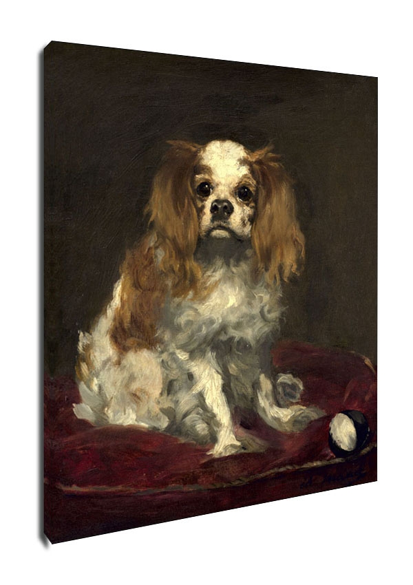 Image of A King Charles Spaniel, Edouard Manet - obraz na płótnie Wymiar do wyboru: 90x120 cm