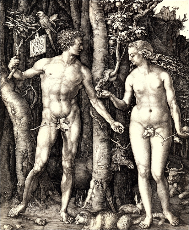 Image of Adam and Eve, Albrecht Durer - plakat Wymiar do wyboru: 61x91,5 cm