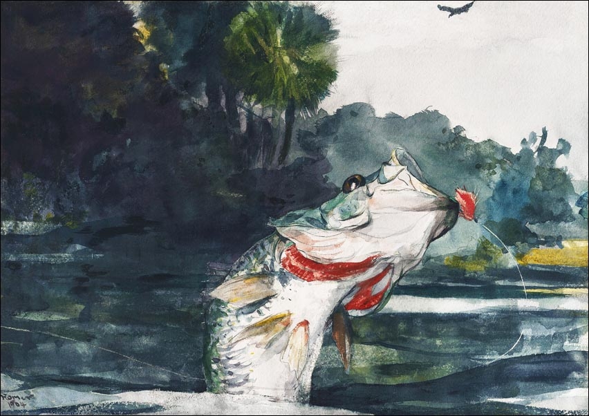 Image of Life-Size Black Bass, Winslow Homer - plakat Wymiar do wyboru: 91,5x61 cm