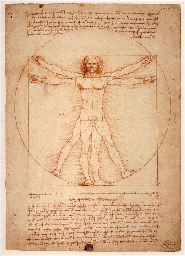 Image of Anatomia Leonardo da Vinci - plakat Wymiar do wyboru: 60x80 cm