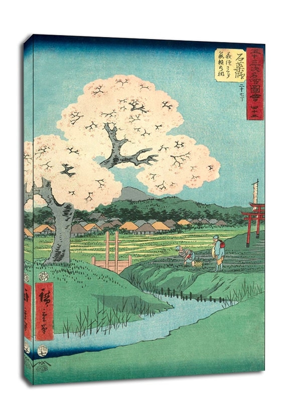 Image of Ishiyakushi Yoshitsune's Cherry Tree and the Shrine of Noriyori, Hiroshige - obraz na płótnie Wymiar do wyboru: 50x70 cm