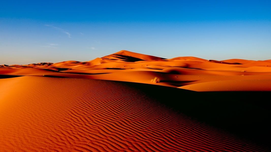 Image of Panorama sahara - plakat Wymiar do wyboru: 40x30 cm