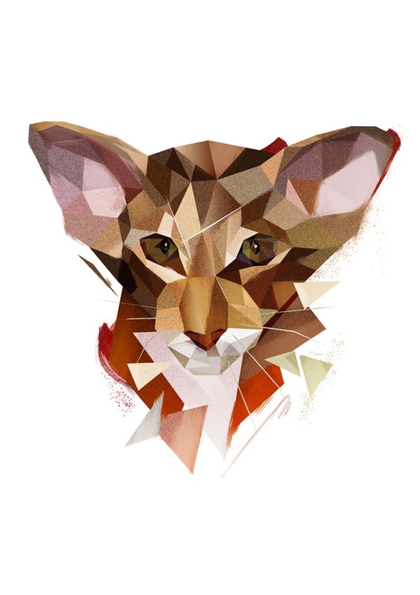 Kot - plakat Wymiar do wyboru: 21x29,7 cm