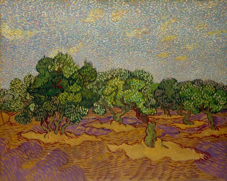 Image of Olive Trees, Vincent van Gogh - plakat Wymiar do wyboru: 80x60 cm