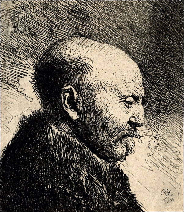 Image of A Bald Man in Profile, Rembrandt - plakat Wymiar do wyboru: 20x30 cm