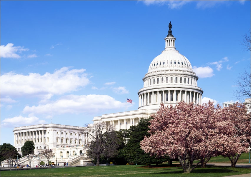 Image of Capitol Hill during the cherry blossom season., Carol Highsmith - plakat Wymiar do wyboru: 40x30 cm