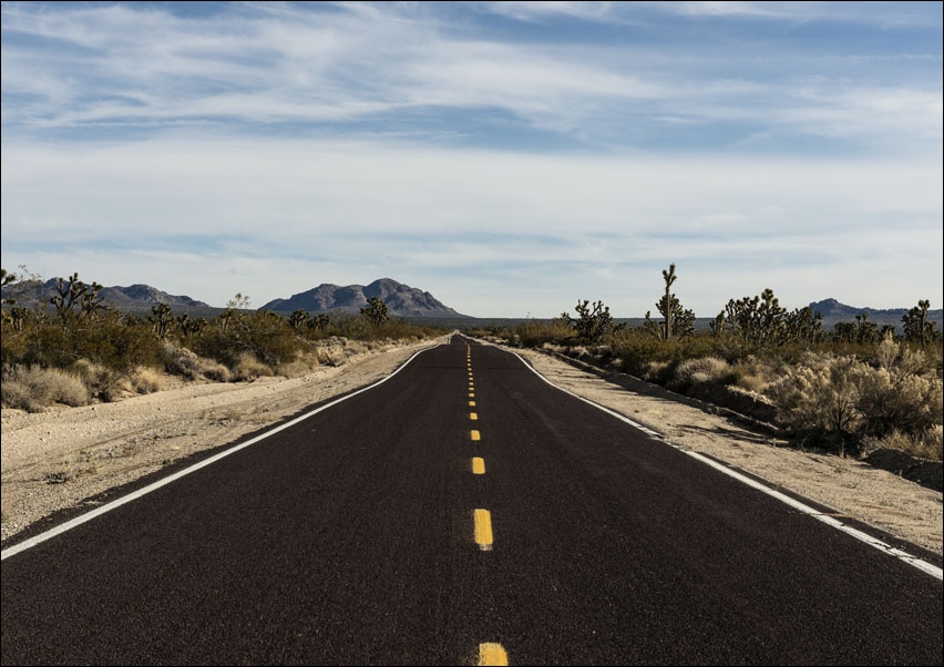 Image of A very long and very brown road in the Mojave National Preserve in California, Carol Highsmith - plakat Wymiar do wyboru: 29,7x21 cm