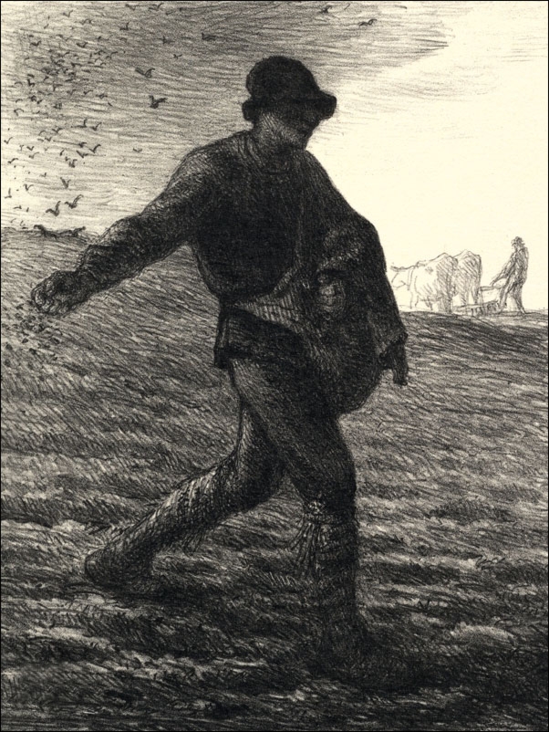 The Sower, Jean-François Millet - plakat Wymiar do wyboru: 70x100 cm