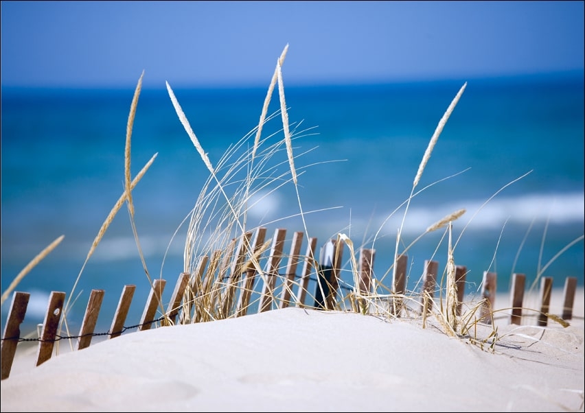 Image of Lake sand Dunes - plakat Wymiar do wyboru: 100x70 cm