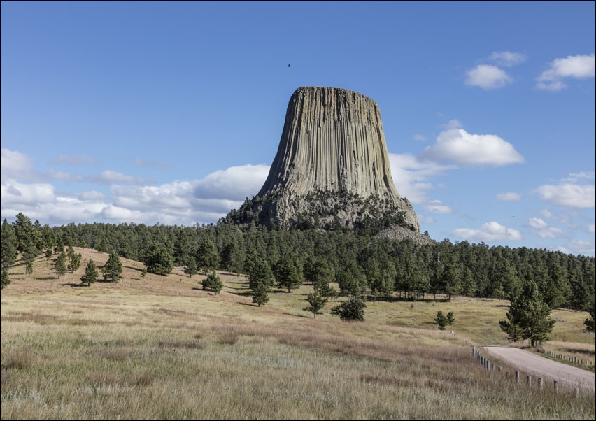 Image of America's first declared national monument, Carol Highsmith - plakat Wymiar do wyboru: 60x40 cm