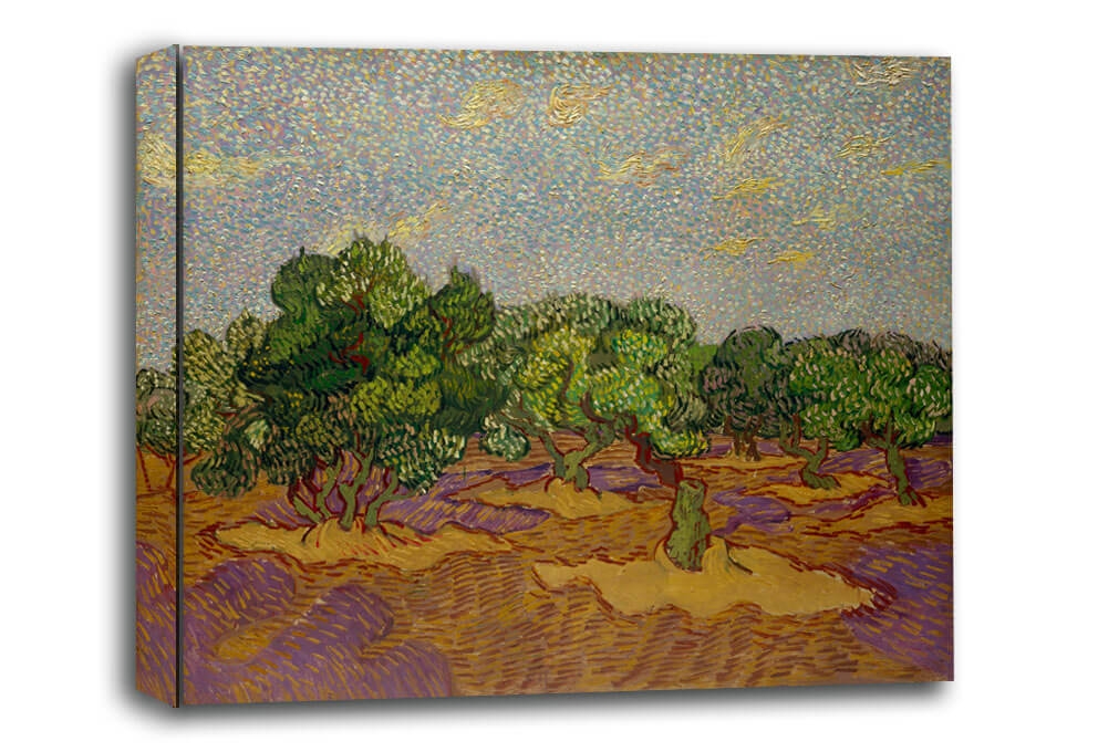 Image of Olive Trees, Vincent van Gogh - obraz na płótnie Wymiar do wyboru: 40x30 cm