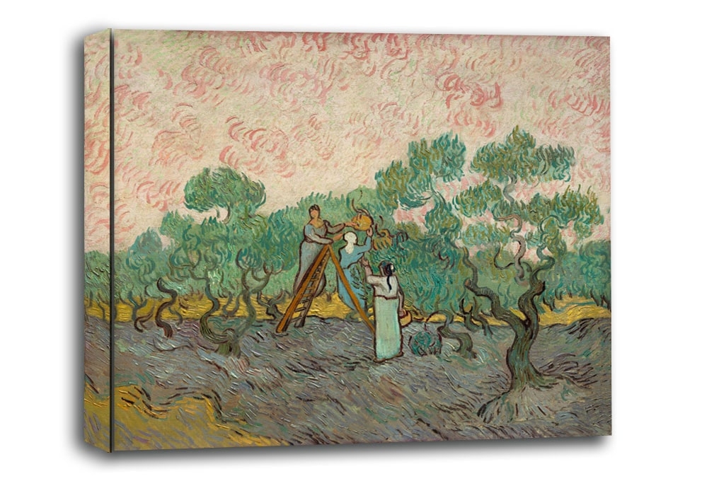 Image of Women Picking Olives, Vincent van Gogh - obraz na płótnie Wymiar do wyboru: 50x40 cm