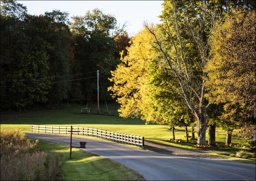 Image of Autumn is upon you in rural Knox County, Ohio, near Danville, Carol Highsmith - plakat Wymiar do wyboru: 60x40 cm