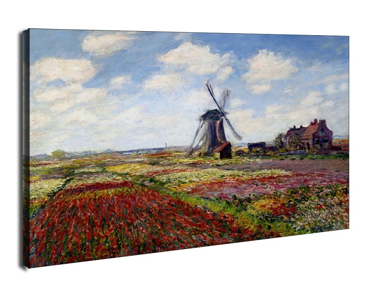 Image of Fields of tulip with the rijnsburg windmill, Claude Monet - obraz na płótnie Wymiar do wyboru: 120x90 cm