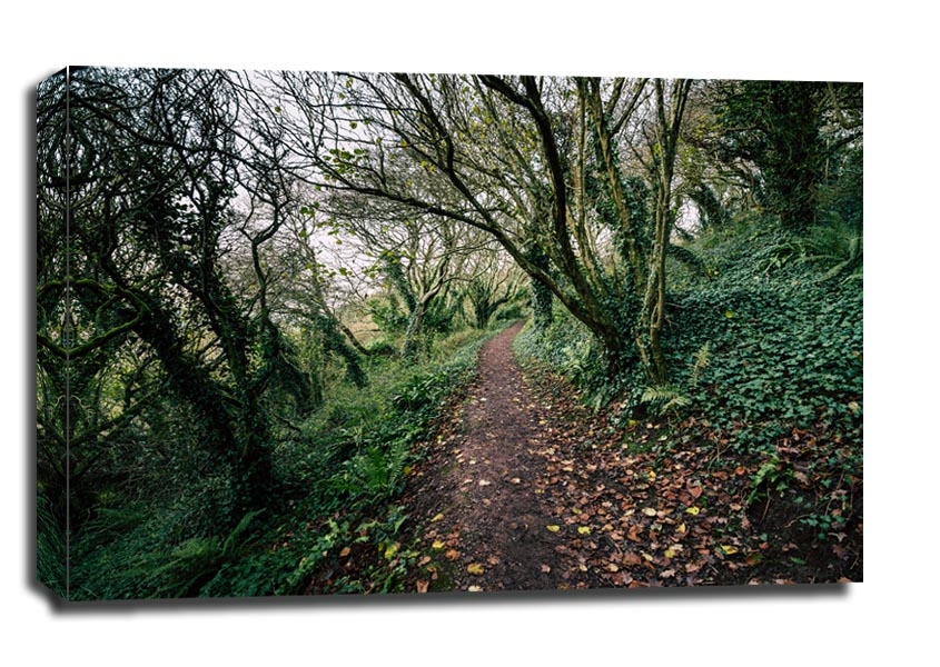 Image of Coast Path - Plymouth - obraz na płótnie Wymiar do wyboru: 100x70 cm